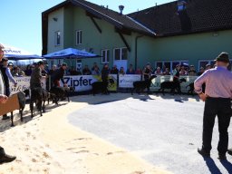 2019_ausstellung polling_258